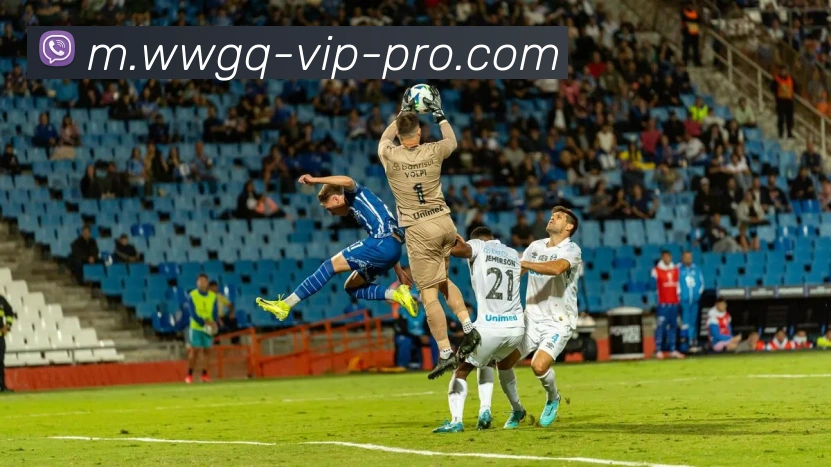 多媒体互动体验